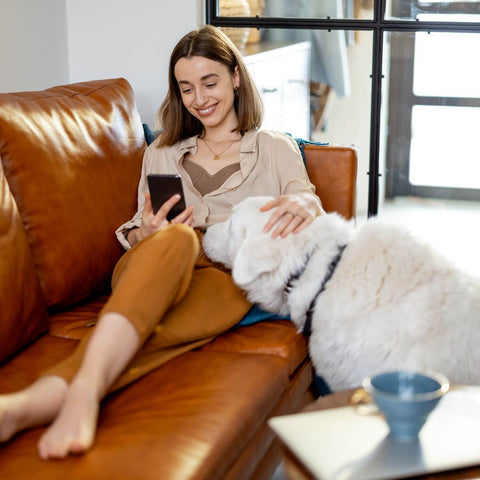 Explorer les options de traitement